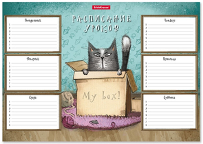 Расписание уроков ErichKrause Cat & Box, А4 (210×297 мм) Расписание уроков ErichKrause Cat & Box, А4 (210×297 мм)