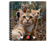 Книжка записная на гребне «Котики в объективе камеры»