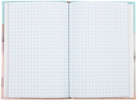 Книжка записная Prof-Press (А6), 100*150 мм, 48 л., клетка, «Милый белый котенок»