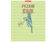 Тетрадь предметная А5, 48 л. на скобе «Жиза кота»