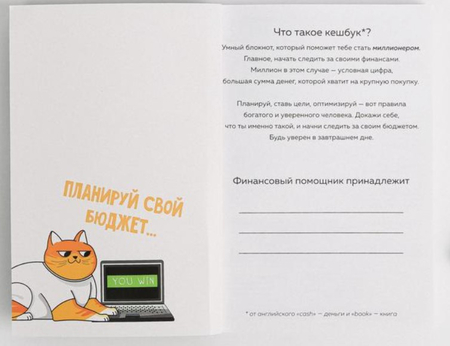 Книжка записная для планирования финансов Cashbook, 115*165 мм, 68 л., «Кот трудоголик»