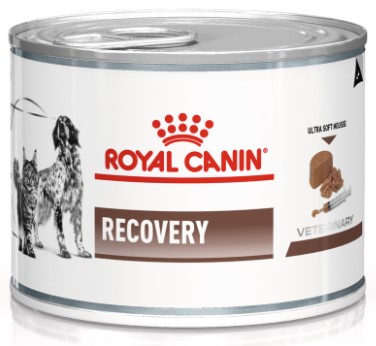 Корм влажный Royal Canin Recovery (восстанавливающее питание в период выздоровления или при липидозе печени у кошек), 195 г (мусс)