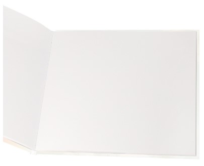 Скетчбук на резинке «Кошачий портрет», 200*200 мм, 40 л.