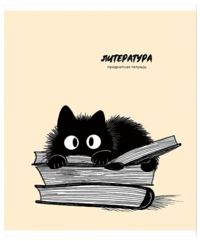Тетрадь предметная А5, 48 л. на скобе Bad Cat, 165*205 мм, линия, «Литература»