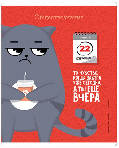 Тетрадь предметная А5, 48 л. на скобе «Котоцинизм», 165*202 мм, клетка, «Обществознание»