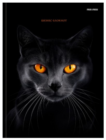 Книжка записная «Бизнес-блокнот. Черная кошка-2», 174*223 мм, 80 л., клетка