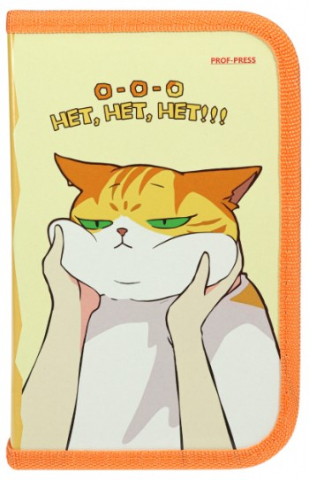 Пенал однокамерный с откидной створкой Profit, 115*190 мм, «Недовольный кот» Пенал однокамерный с откидной створкой Profit, 115*190 мм, «Недовольный кот»