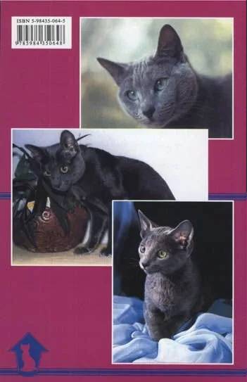 Книга «Русские голубые кошки. Содержание. Разведение. Профилактика заболеваний», 125*200 мм, 80 с., с иллюстрациями
