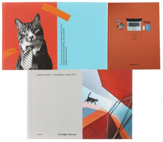 Книжка записная «Бизнес-блокнот» BG А5 (80 л.) 165×215 мм, 80 л., клетка, «Котофис мечты», ассорти