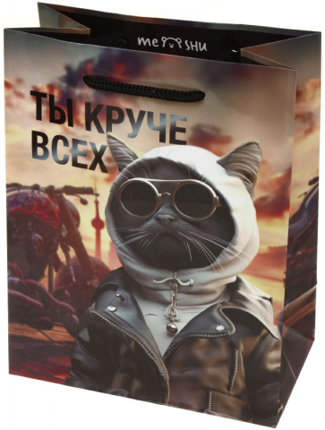 Пакет подарочный Meshu, 18*23*10 см, Cool Guy