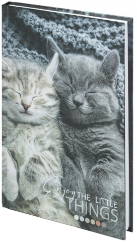 Книжка записная Staff А5 «Котики», 135*205 мм, 80 л., клетка