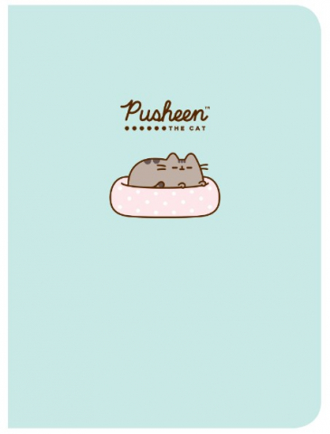 Тетрадь общая А5, 120 л. на кольцах Pusheen, 170*220 мм, клетка