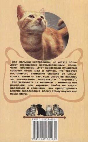 Книга «Ваш котенок. Задор и обаяние», 125*200 мм, 144 с., с иллюстрациями, перевод с немецкого языка