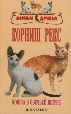 Книга «Корниш-рекс. Кошка в овечьей шкуре», 125*200 мм, 128 с., с иллюстрациями Книга «Корниш-рекс. Кошка в овечьей шкуре», 125*200 мм, 128 с., с иллюстрациями