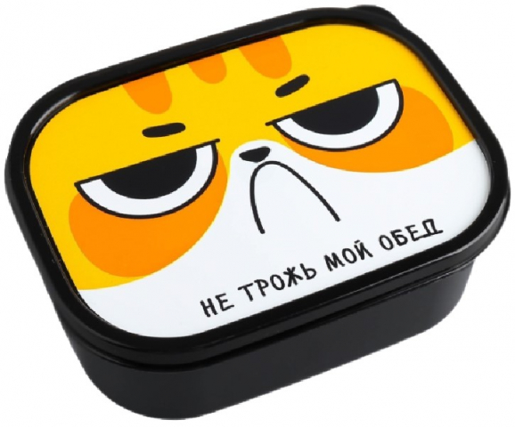 Ланч-бокс прямоугольный 0,5 л, «Не трожь мой обед»