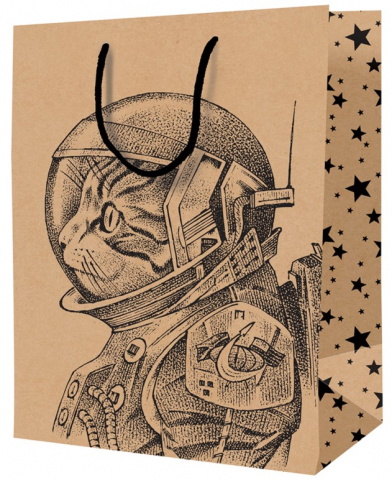 Пакет подарочный крафт ArtSpace 26×32×12 см, Space Cat