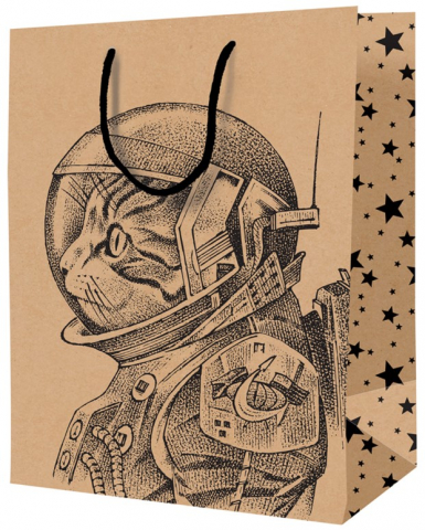 Пакет подарочный крафт ArtSpace 18×23×10 см, Space Cat