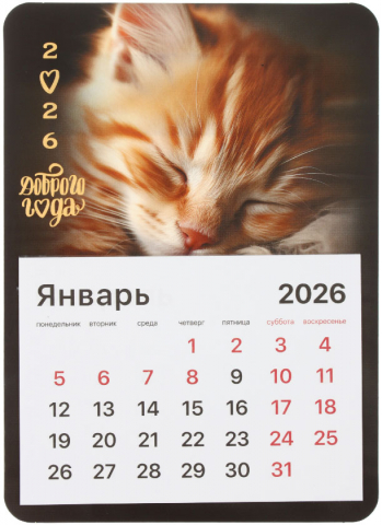 Календарь отрывной на магните на 2026 год Brauberg, 130*180 мм, «Котик»