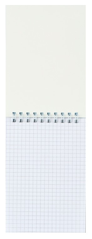 Блокнот на гребне А6 «Котята», 100*145 мм, 40 л., клетка