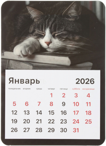 Календарь отрывной на магните на 2026 год Brauberg 130×180 мм, «Спящий кот»