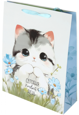 Пакет подарочный Meshu, 33*42*12 см, Cute Kitten