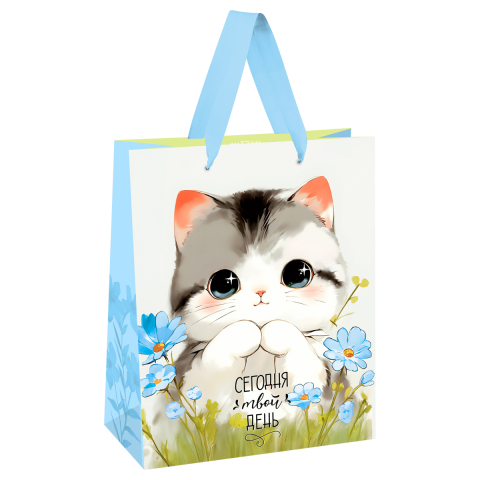 Пакет подарочный Meshu 18×23×10 см, Cute Kitten