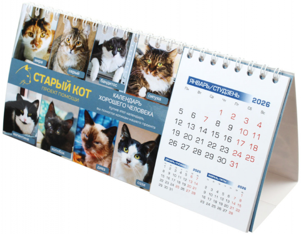 «Календарь хорошего человека» на 2026 год «Домик» 210×100 мм «Календарь хорошего человека» на 2026 год «Домик» 210×100 мм