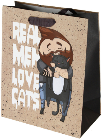 Пакет подарочный крафт Meshu 18×23×10 см, Real Men, выборочный УФ-лак Пакет подарочный крафт Meshu 18×23×10 см, Real Men, выборочный УФ-лак