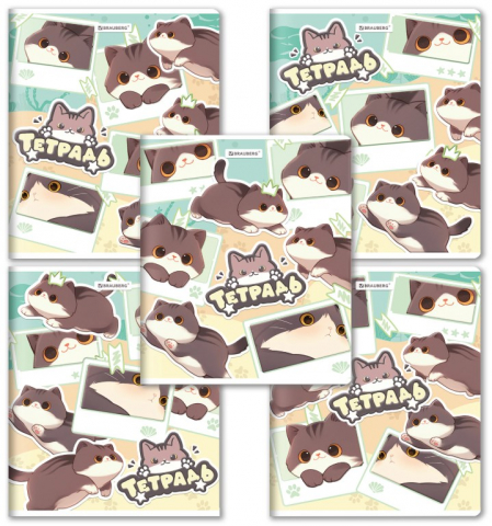 Тетрадь общая А5, 48 л. на скобе Brauberg «Милые коты», 165*205 мм, клетка, ассорти