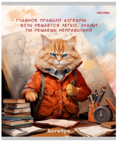 Тетрадь предметная А5, 48 л. на скобе «Жил-был кот» 170×207 мм, клетка, «Алгебра»