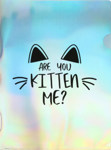 Папка-уголок пластиковая «Голографическая» А4, «Веселый кот»