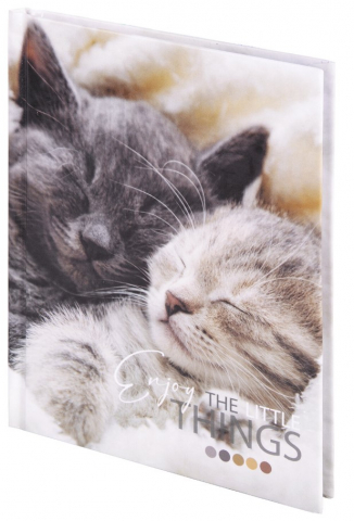 Книжка записная Staff «Котики» (А6), 110*145 мм, 80 л., клетка