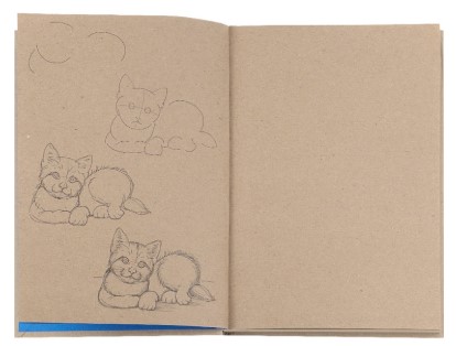 Скетчбук с пошаговыми эскизами «Кошачий», 150*208 мм, 80 л.