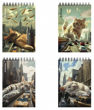 Блокнот на гребне ErichKrause (А6), 100*146 мм, 80 л., клетка, Вig City Cats, ассорти