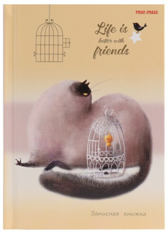 Книжка записная «Кошка и канарейка», 103*148 мм, 64 л., клетка