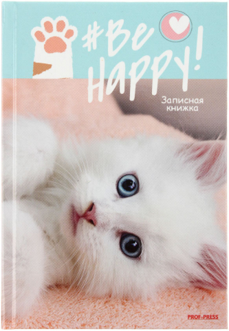 Книжка записная Prof-Press (А6), 100*150 мм, 48 л., клетка, «Милый белый котенок»