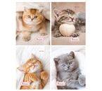 Блокнот на скобе «Милые котята-1», 106×167 мм, 24 л., клетка, ассорти Блокнот на скобе «Милые котята-1», 106×167 мм, 24 л., клетка, ассорти