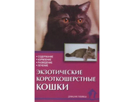 Книга «Экзотические короткошерстные кошки. Содержание, кормление, разведение, лечение» Книга «Экзотические короткошерстные кошки. Содержание, кормление, разведение, лечение»